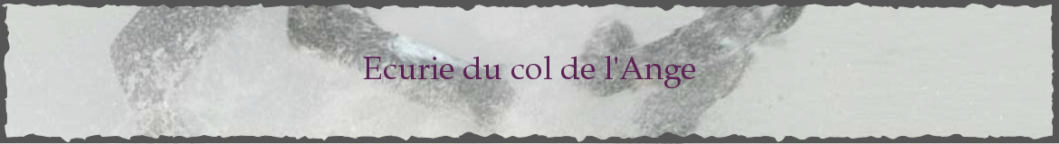 Ecurie du col de l'Ange